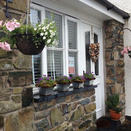 Snowdonia Snug - Studio Style Accommodation 돌겔라우 외부 사진