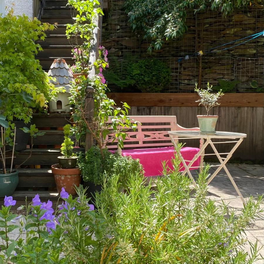 Snowdonia Snug - Studio Style Accommodation 돌겔라우 외부 사진