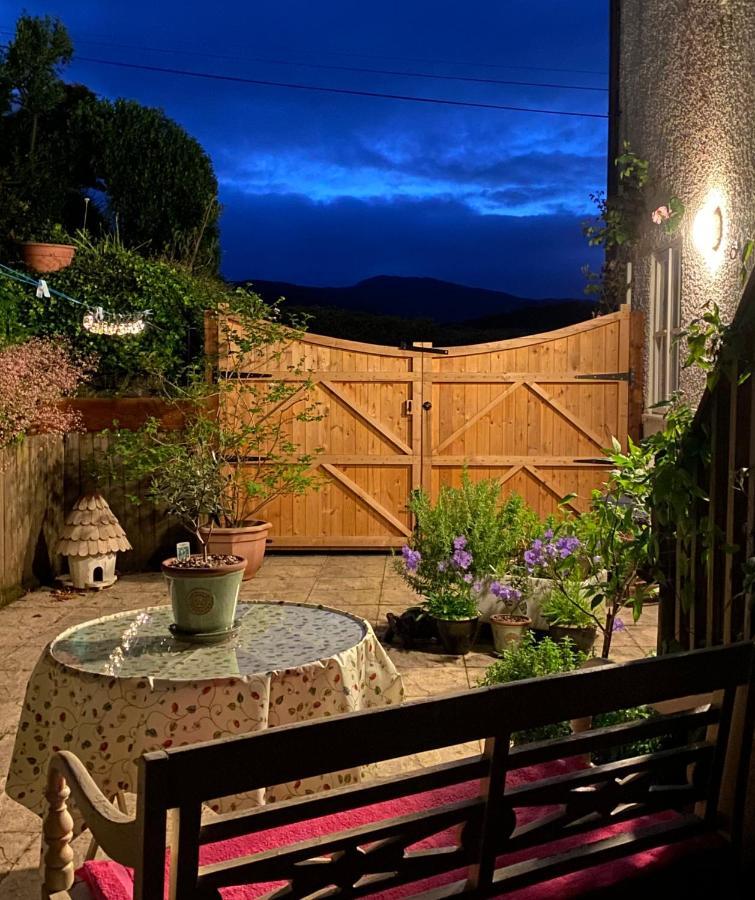 Snowdonia Snug - Studio Style Accommodation 돌겔라우 외부 사진