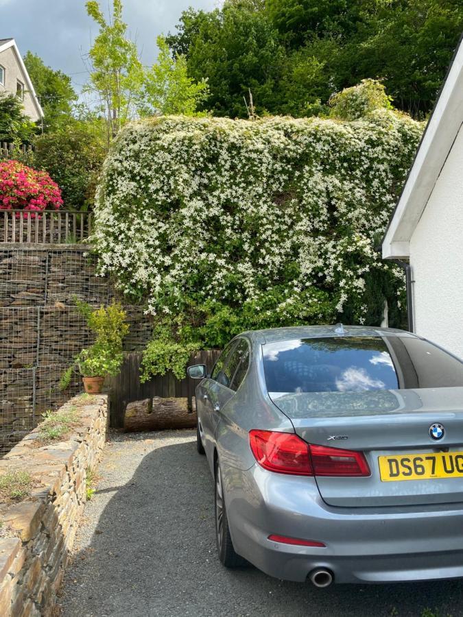 Snowdonia Snug - Studio Style Accommodation 돌겔라우 외부 사진