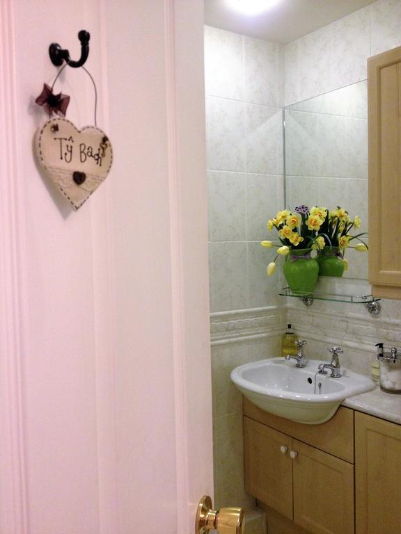 Snowdonia Snug - Studio Style Accommodation 돌겔라우 외부 사진