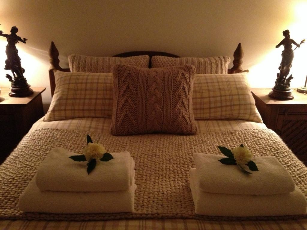 Snowdonia Snug - Studio Style Accommodation 돌겔라우 외부 사진