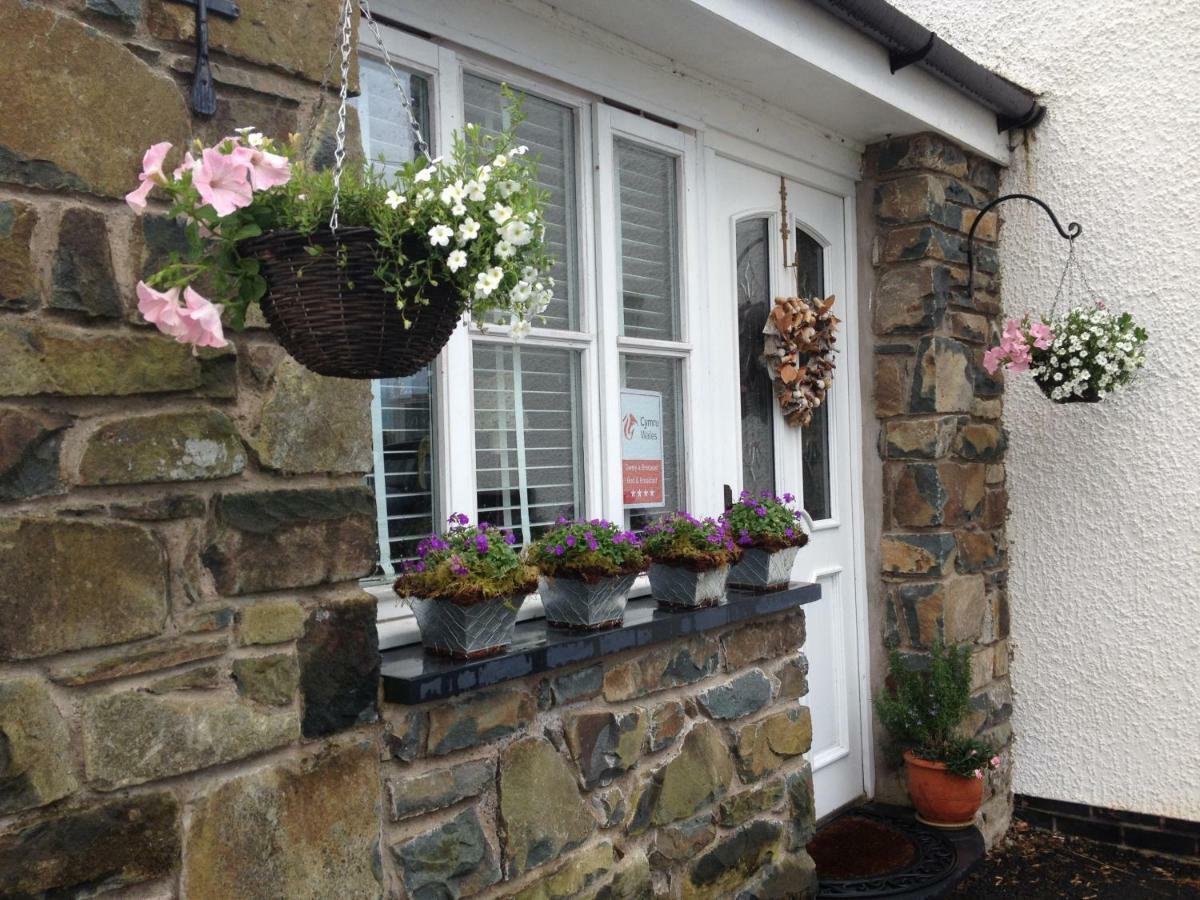 Snowdonia Snug - Studio Style Accommodation 돌겔라우 외부 사진